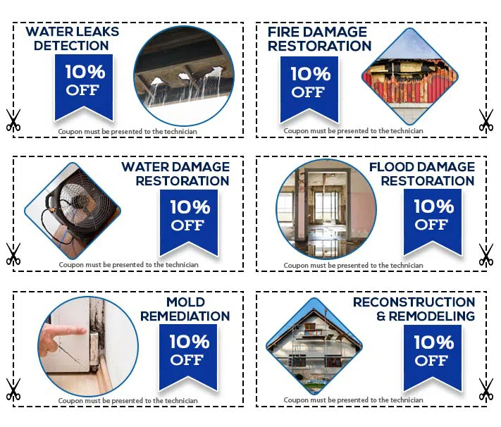 Key Biscayne Restoration Company Key Biscayne, FL 786-309-9751 Key Biscayne Restoration Company Key Biscayne, FL 786-309-9751 - coupon