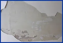 Key Biscayne Restoration Company Key Biscayne, FL 786-309-9751 - water-damage-sidebar