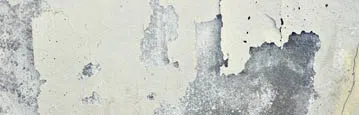logo-image - water-damage-subbanner