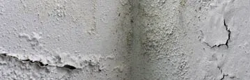 logo-image - water-leaks-subbanner
